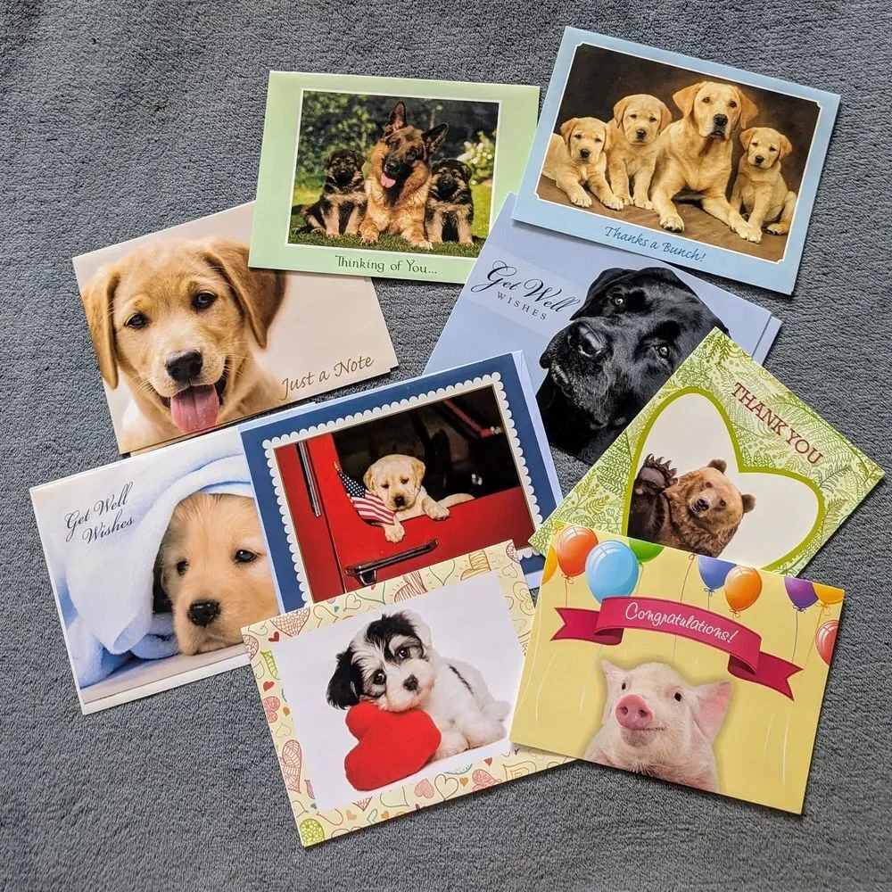 Box of 18 Assorted Animal Themed Greeting Cards & Envelopes